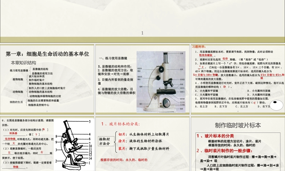 02第二单元 生物体的结构层次.ppt