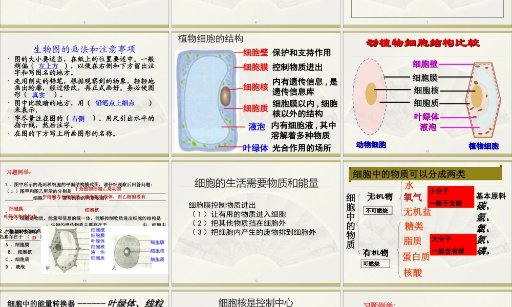 02第二单元 生物体的结构层次.ppt