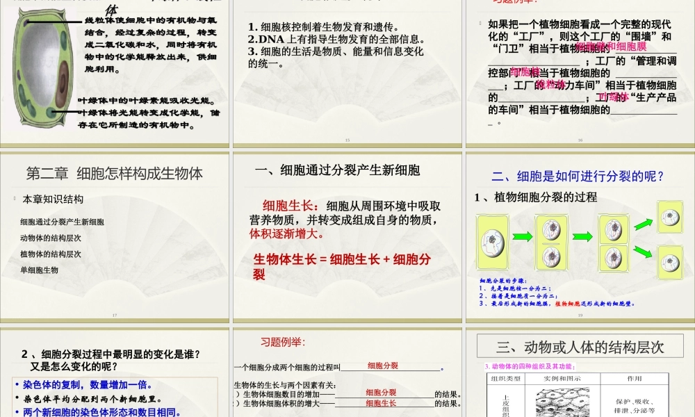 02第二单元 生物体的结构层次.ppt