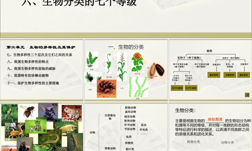 02第六单元生物的多样性及其保护.ppt