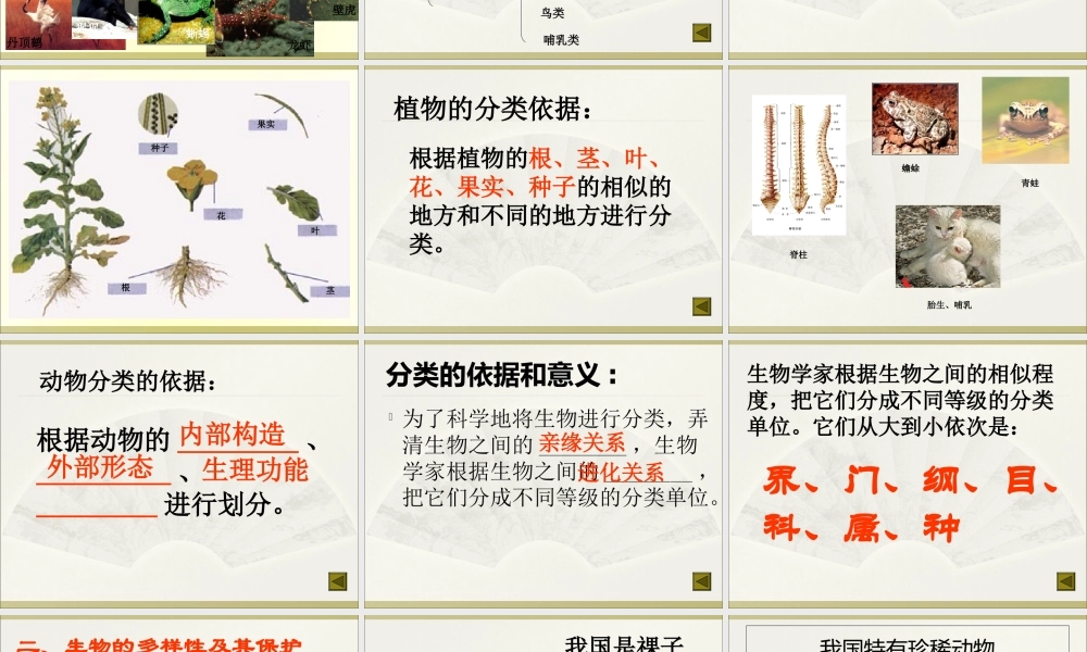 02第六单元生物的多样性及其保护.ppt