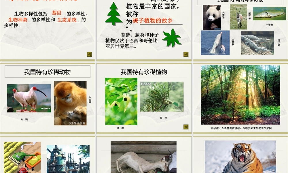 02第六单元生物的多样性及其保护.ppt