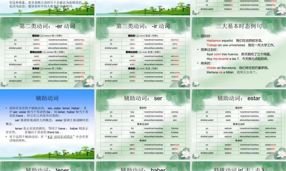 3.1 动词变位和简单时态.ppt