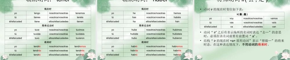 3.1 动词变位和简单时态.ppt