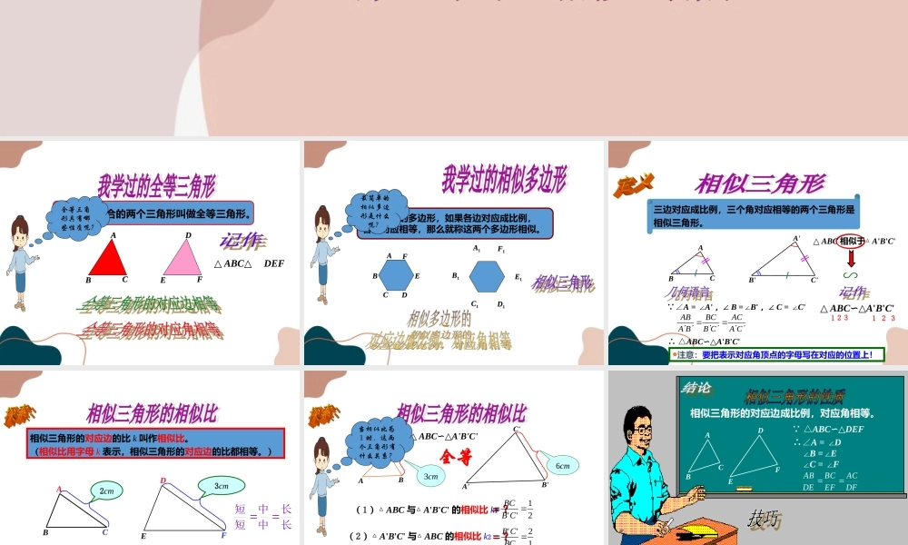 第1课时 相似三角形.ppt