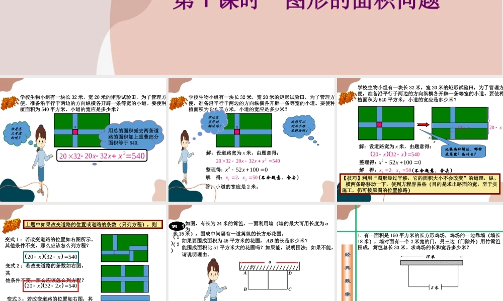 第1课时 图形的面积问题.ppt