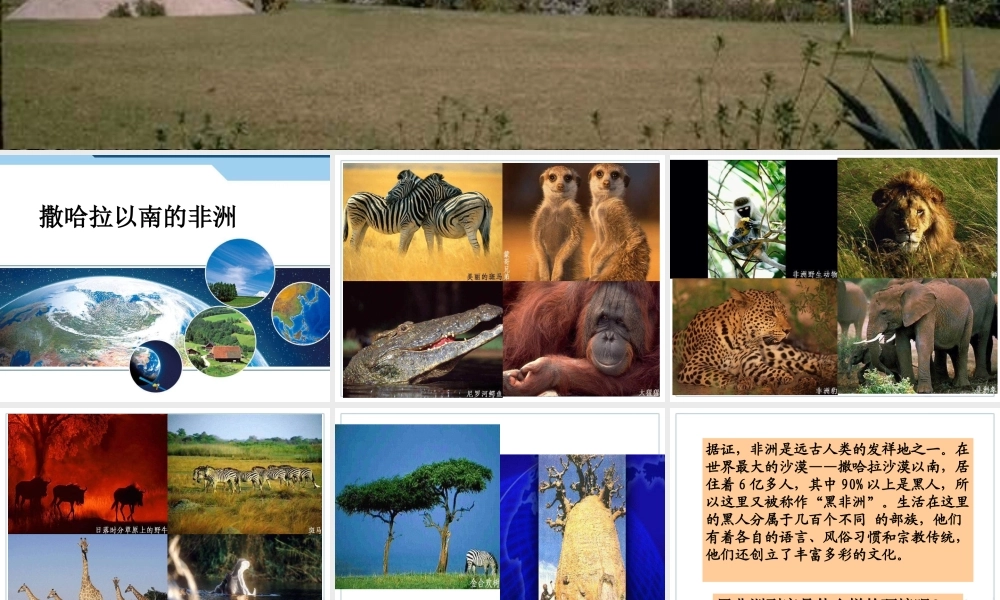 第3节 撒哈拉以南的非洲.ppt