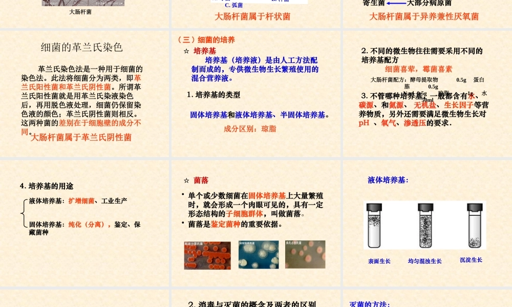 高二生物浙科版选修1课件：1.1 大肠杆菌的培养和分离 （数理化网）.pptx