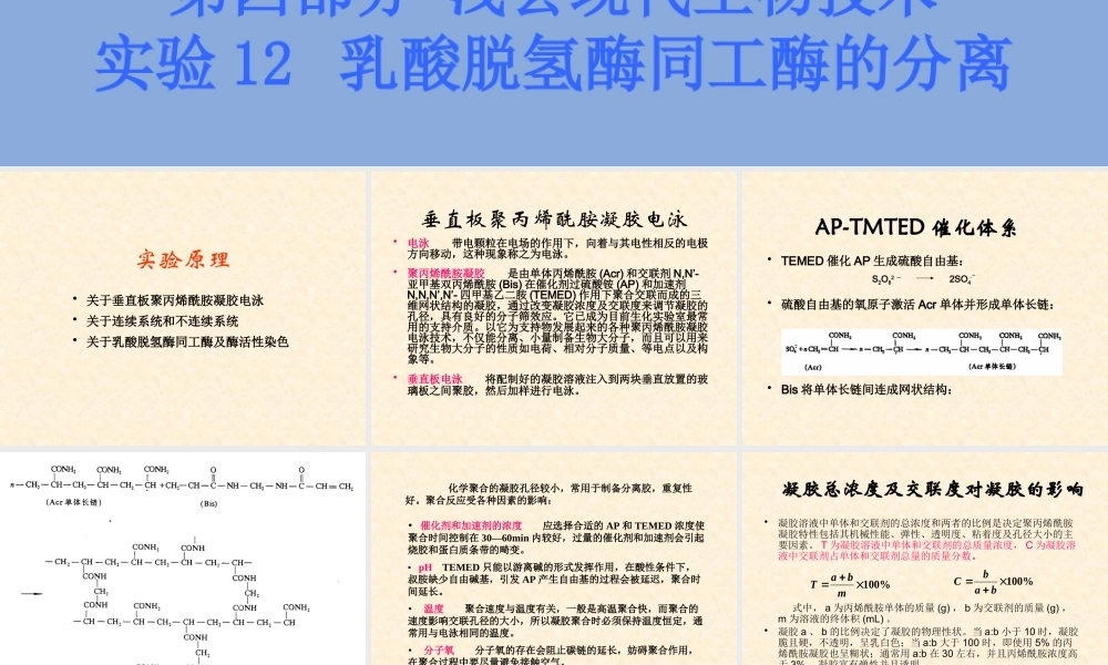 高二生物浙科版选修1课件：4.12 乳酸脱氢酶同工酶的分离 （数理化网）.pptx