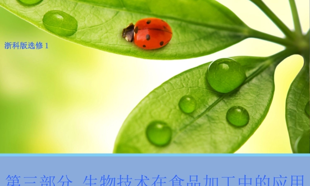 高二生物浙科版选修1课件：3.10 泡菜的腌制和亚硝酸盐的测定 （数理化网）.pptx