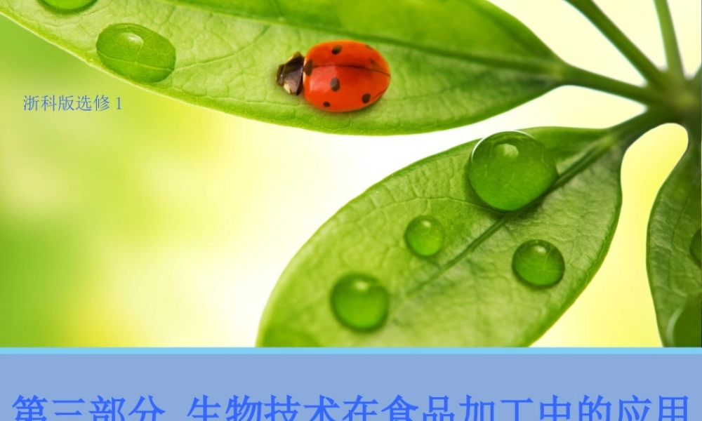 高二生物浙科版选修1课件：3.8 果酒及果醋的制作 （数理化网）.pptx