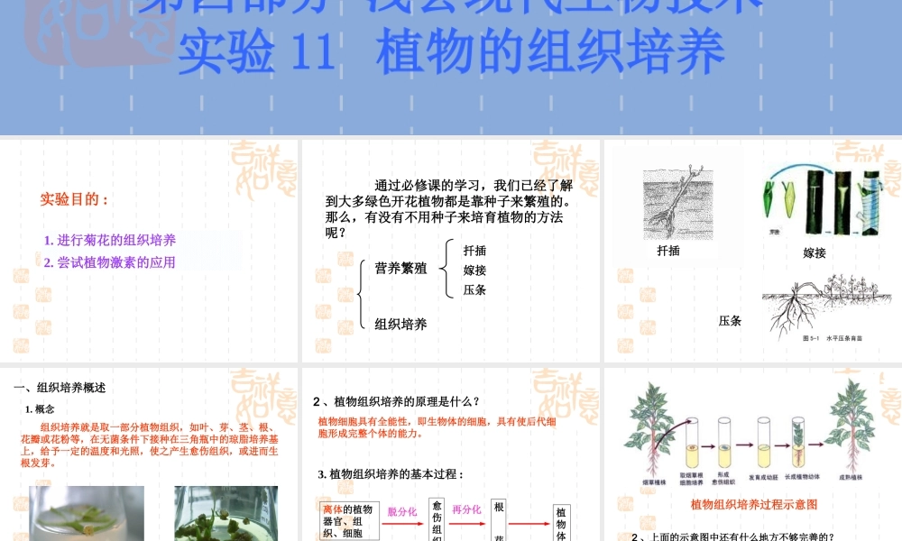 高二生物浙科版选修1课件：4.11 植物的组织培养 （数理化网）.pptx