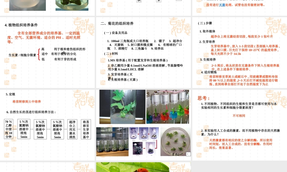 高二生物浙科版选修1课件：4.11 植物的组织培养 （数理化网）.pptx