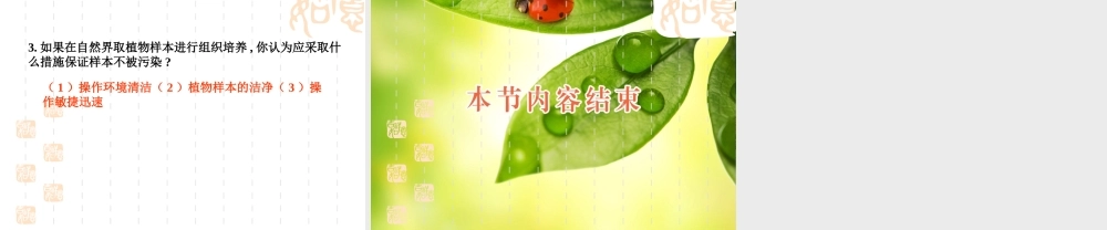 高二生物浙科版选修1课件：4.11 植物的组织培养 （数理化网）.pptx