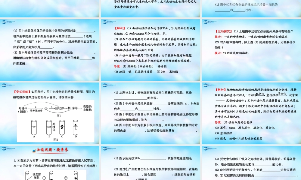 高中生物 第四部分 浅尝现代生物技术课件 浙科版选修1.ppt