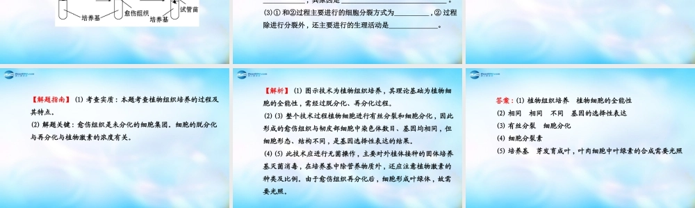 高中生物 第四部分 浅尝现代生物技术课件 浙科版选修1.ppt