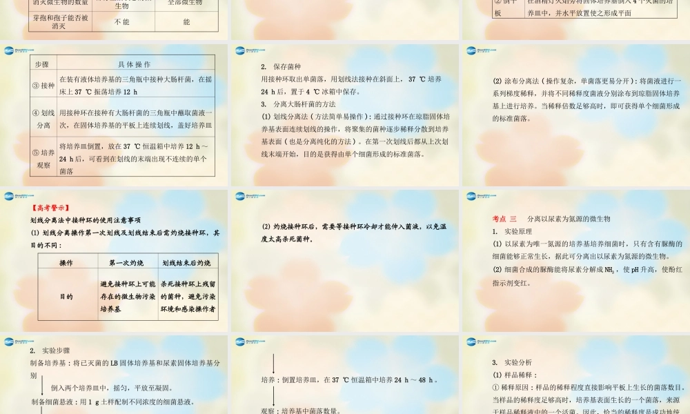 高中生物 第一部分 微生物的利用课件 浙科版选修1.ppt