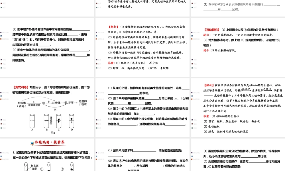 教师用书配套课件选修1_第四部分《浅尝现代生物技术》（40张PPT）.ppt