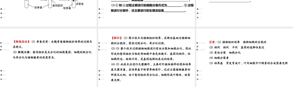 教师用书配套课件选修1_第四部分《浅尝现代生物技术》（40张PPT）.ppt