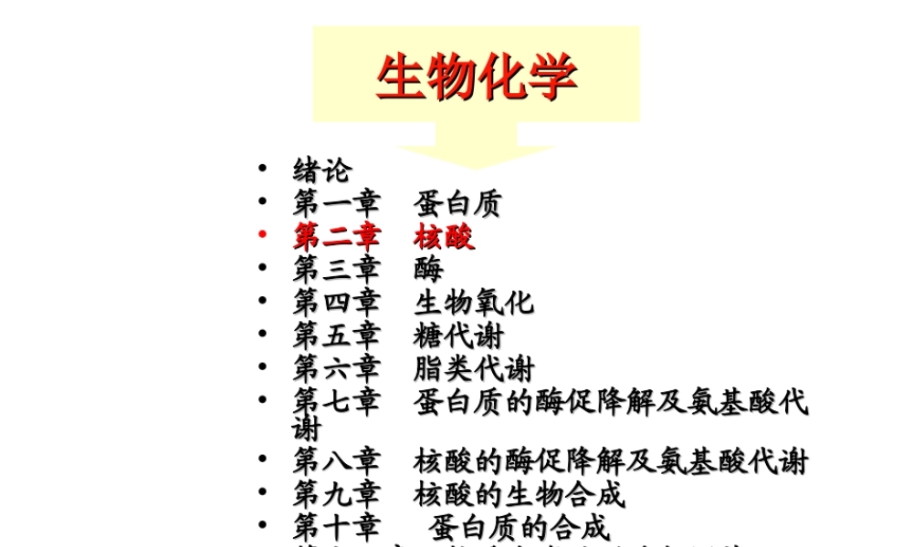 c9by82核酸.ppt