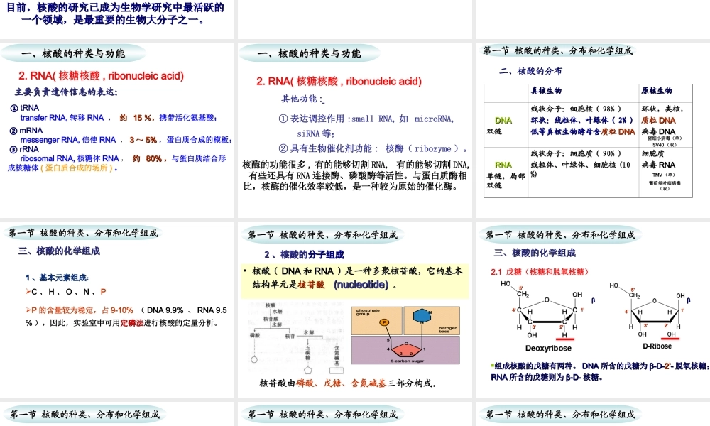 c9by82核酸.ppt
