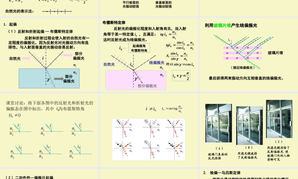 ncwdy偏振.ppt
