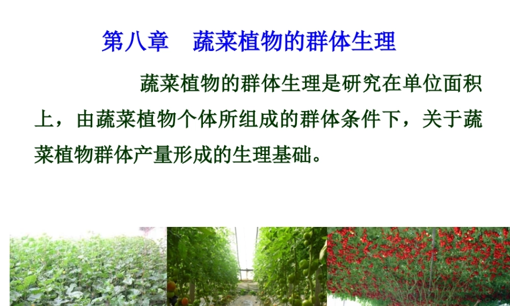 第八章xg383.ppt