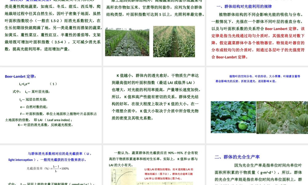 第八章xg383.ppt