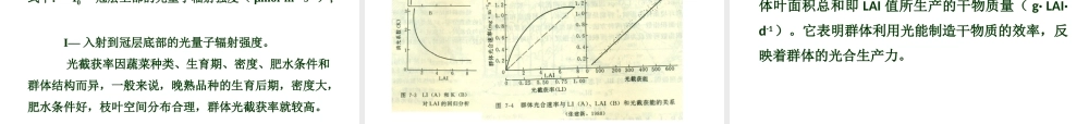 第八章xg383.ppt