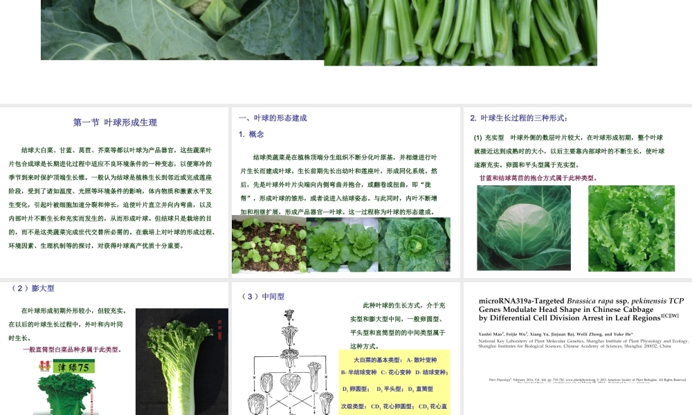 第四章6k2ok.ppt
