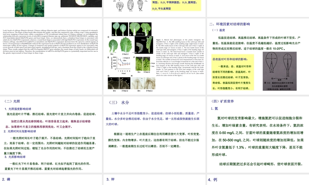 第四章6k2ok.ppt