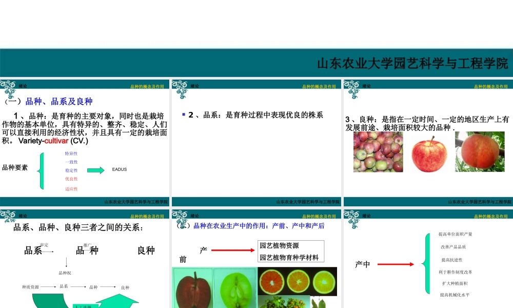 绪论-23ztj1.ppt