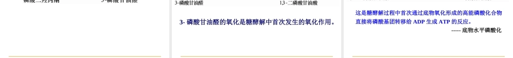 5糖代谢n5d2z.ppt