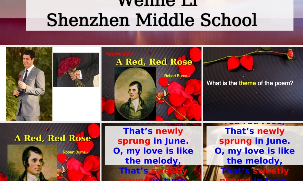 A Red, Red Rose.ppt