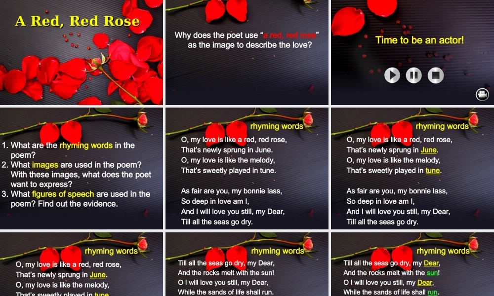 A Red, Red Rose.ppt