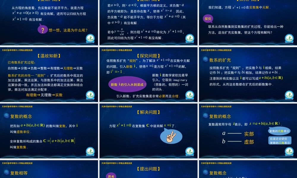 6 孙琳 河北工业大学附属红桥中学数系的扩充和复数的概念(1).pptx