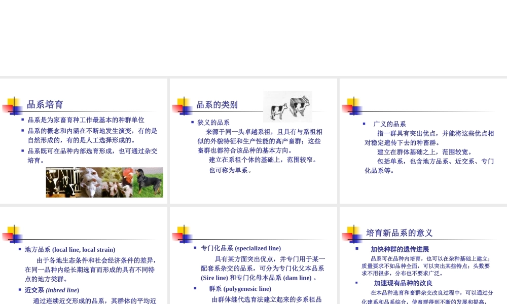第7章家畜品系与品种的培育.ppt