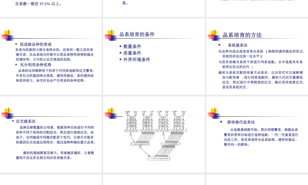 第7章家畜品系与品种的培育.ppt