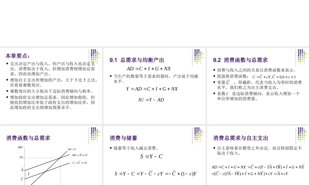 第9章收入与支出.ppt