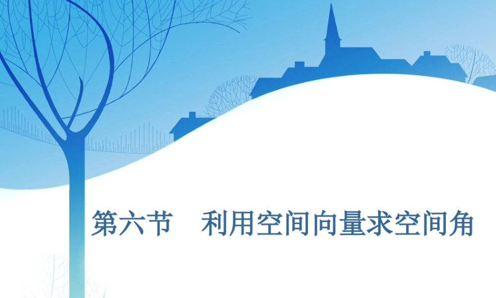 第八章第六节　利用空间向量求空间角.ppt