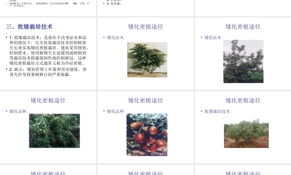 第八章 果树矮化密植.ppt