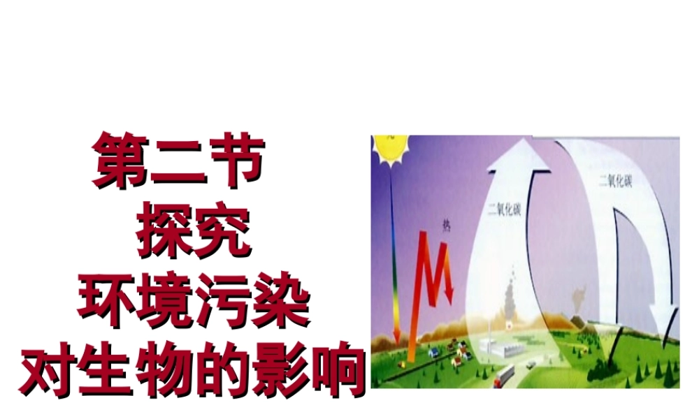 第二节__探究环境污染对生物的影响].ppt