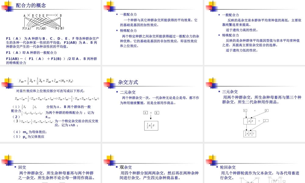 第八章 杂种优势利用.ppt