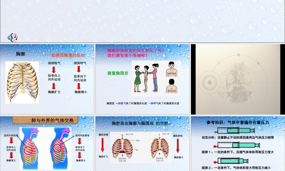 第二节 发生在肺内的气体交换(修改).ppt
