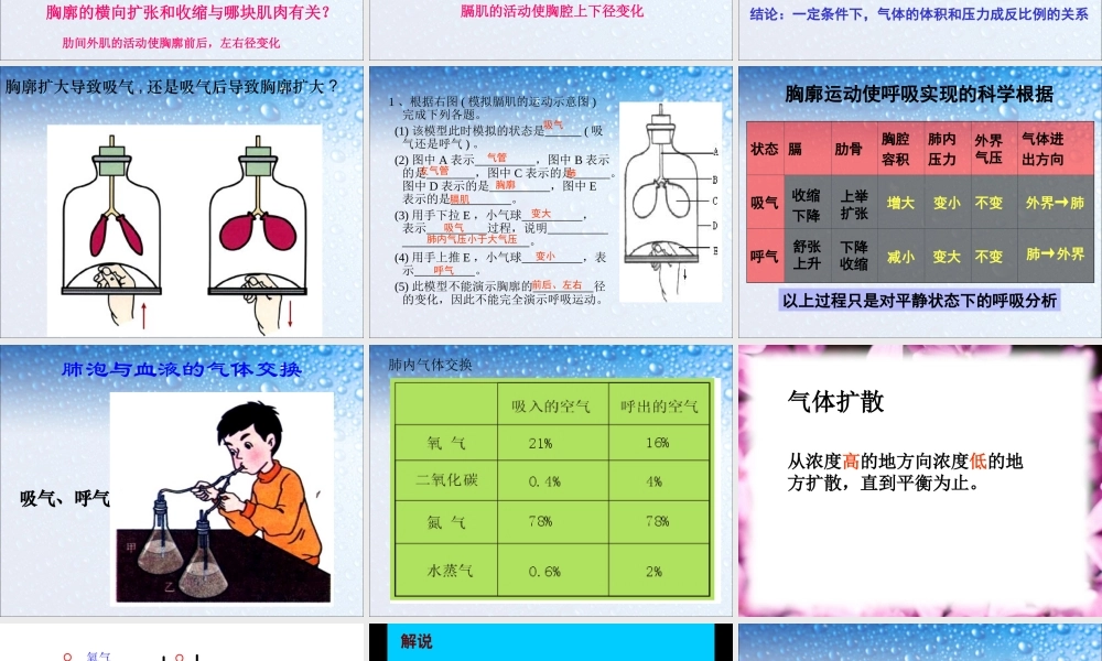 第二节 发生在肺内的气体交换(修改).ppt