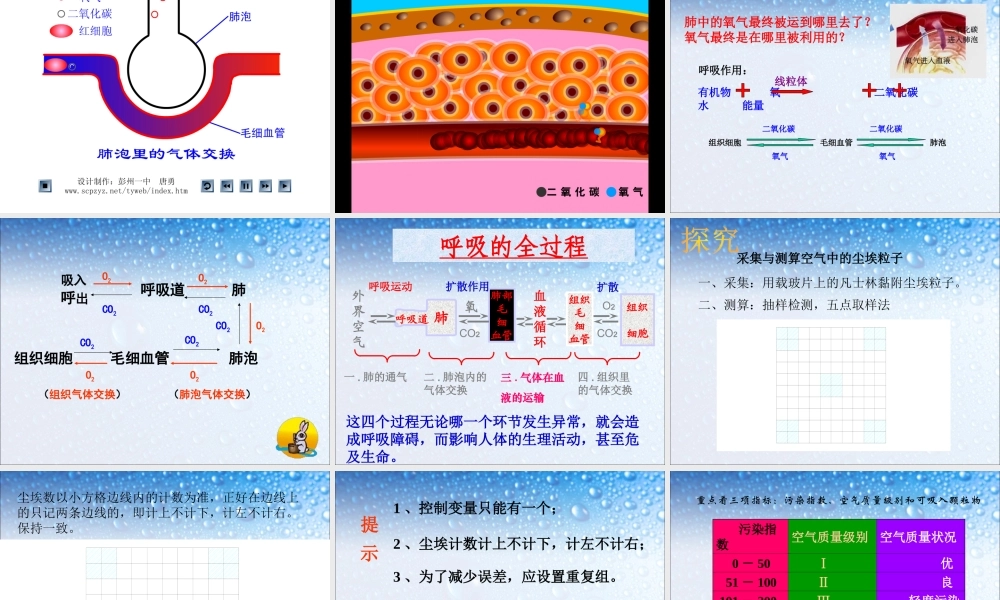 第二节 发生在肺内的气体交换(修改).ppt