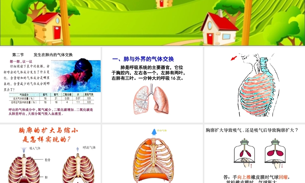 第二节_发生在肺内的气体交换(2012版).ppt