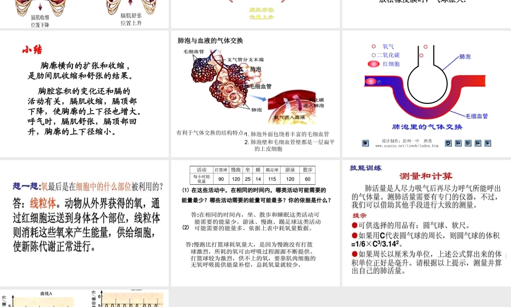 第二节_发生在肺内的气体交换(2012版).ppt