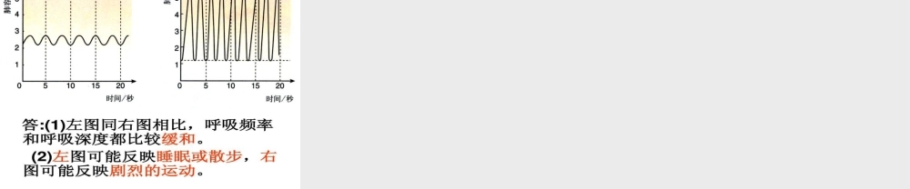 第二节_发生在肺内的气体交换(2012版).ppt