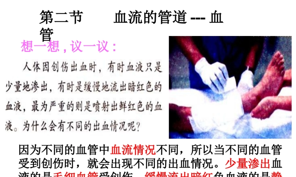 第二节__血流的管道---血管(2012版).ppt